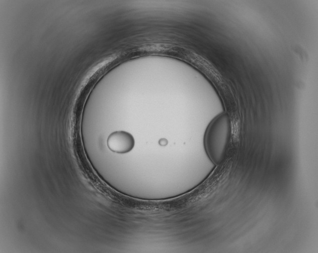 X0000113150724200909181750