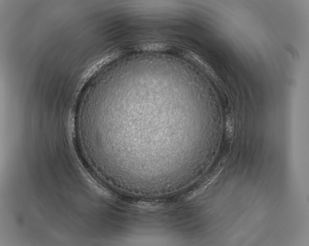 X0000113150725200909181750