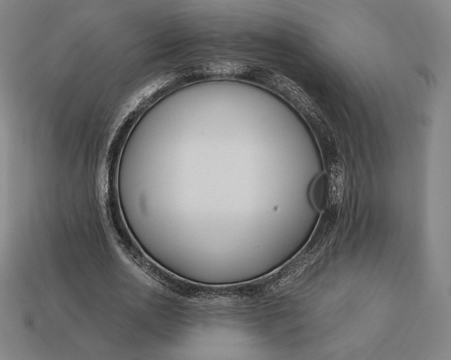 X0000113150726200909181750