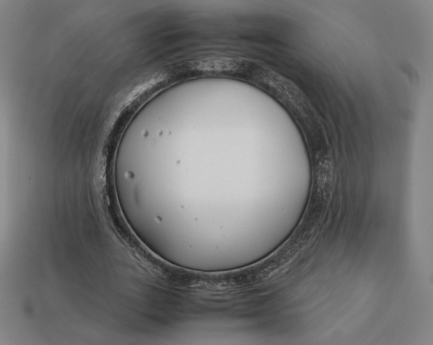 X0000113150727200909181750