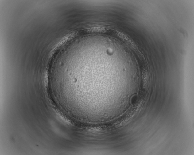 X0000113150729200909181750