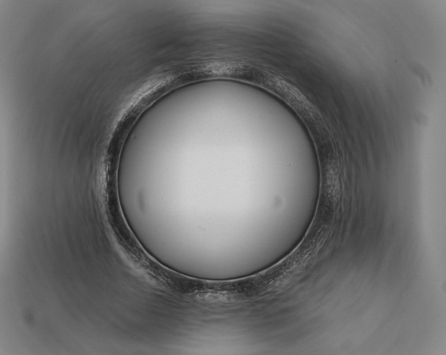 X0000113150730200909181750