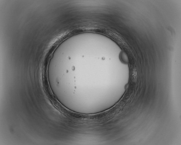 X0000113150732200909181750