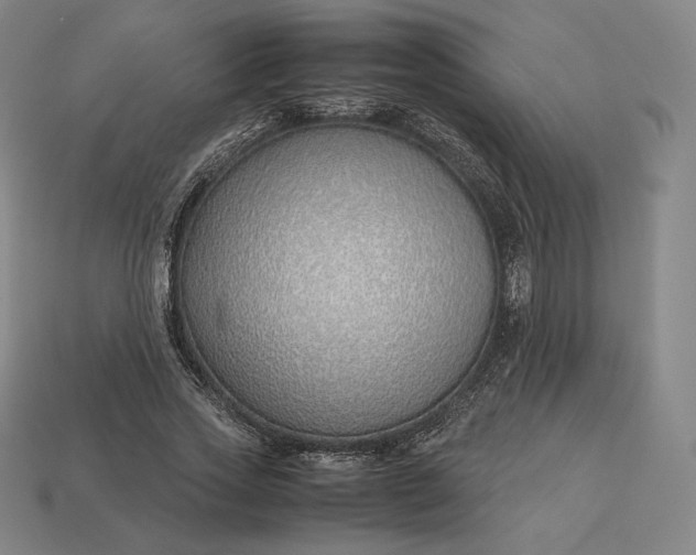 X0000113150733200909181750