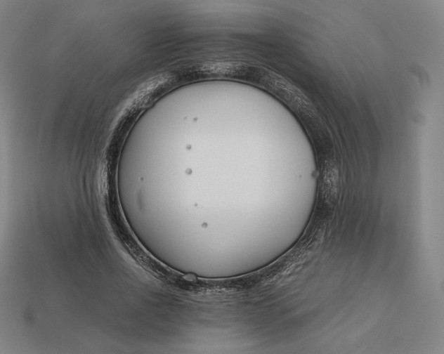 X0000113150734200909181750