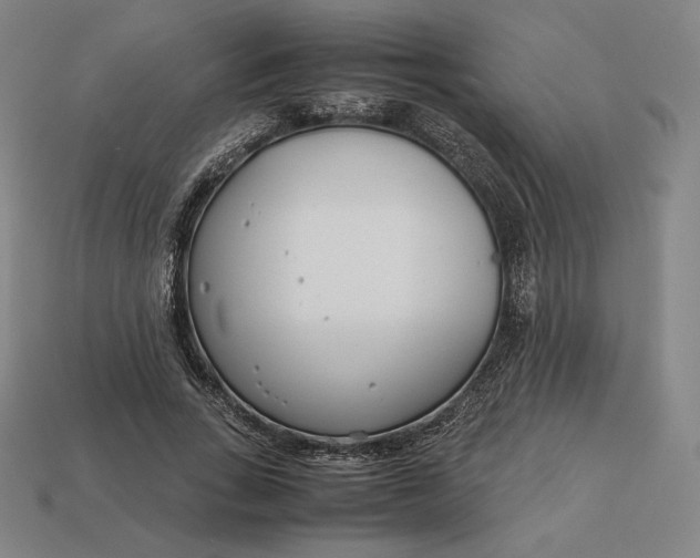 X0000113150735200909181750