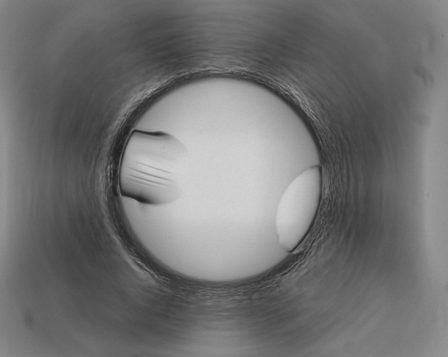 X0000113150736200909181750