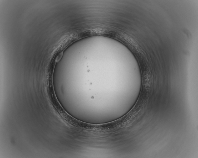 X0000113150738200909181750