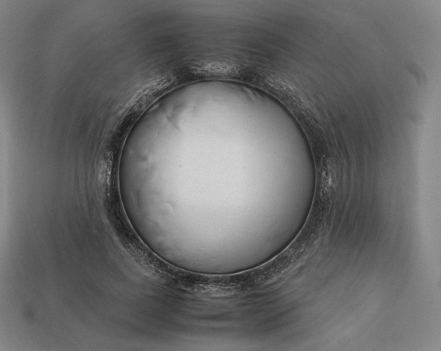 X0000113150739200909181750