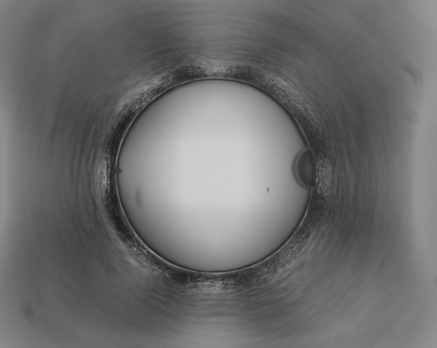 X0000113150740200909181750