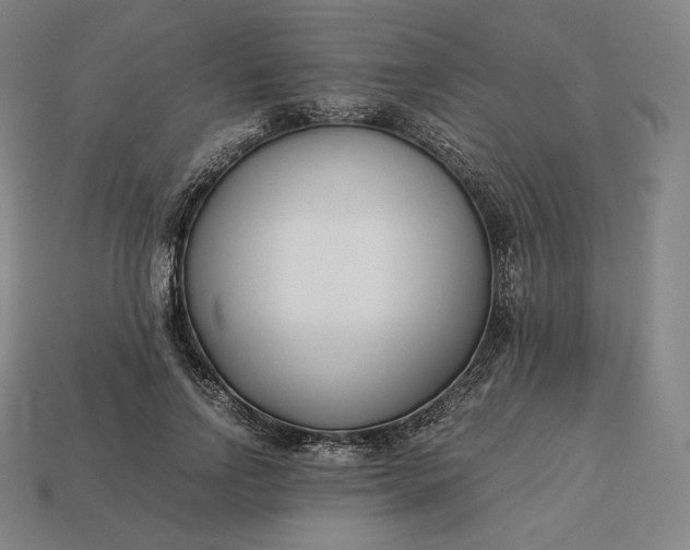 X0000113150742200909181750