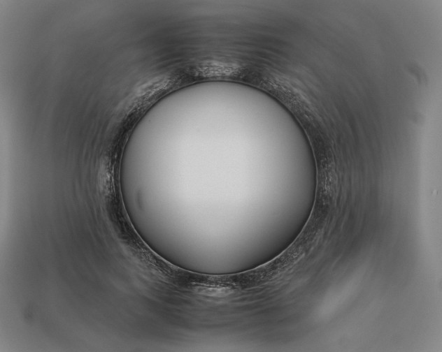 X0000113150743200909181750