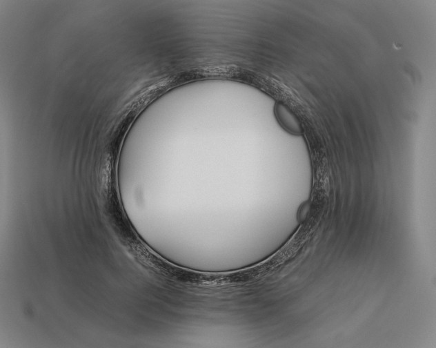 X0000113150744200909181750