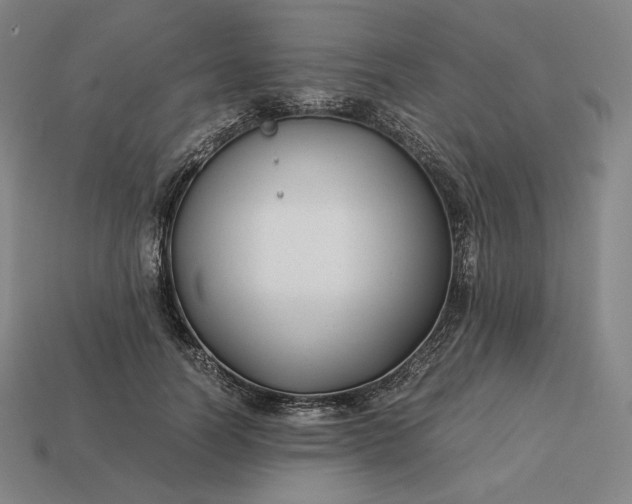 X0000113150746200909181750