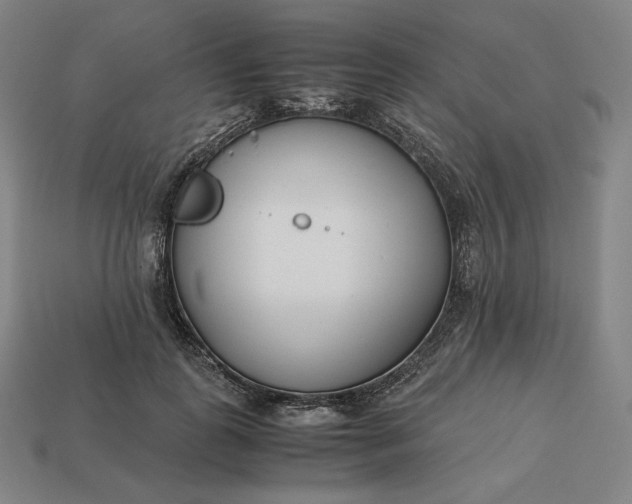 X0000113150747200909181750