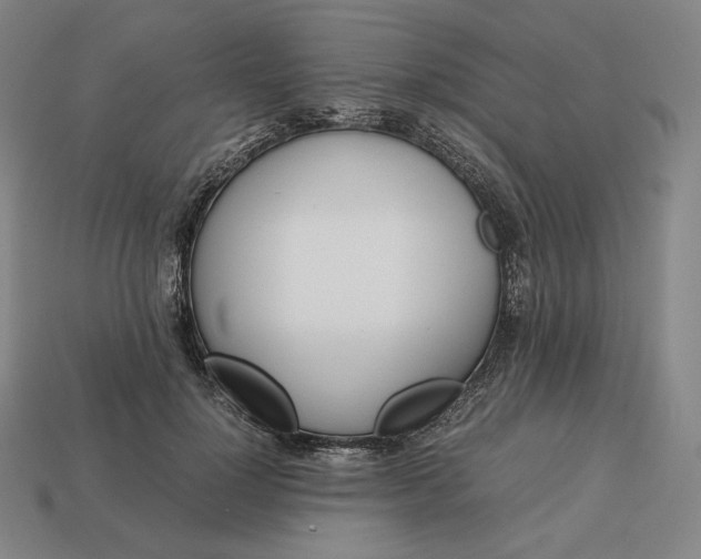 X0000113150748200909181750