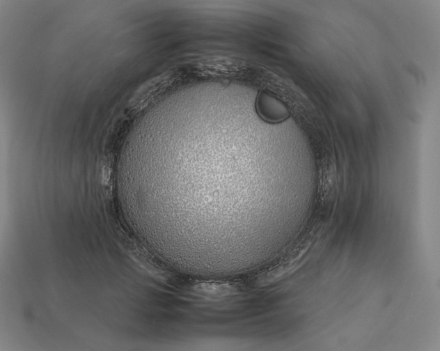 X0000113150749200909181750