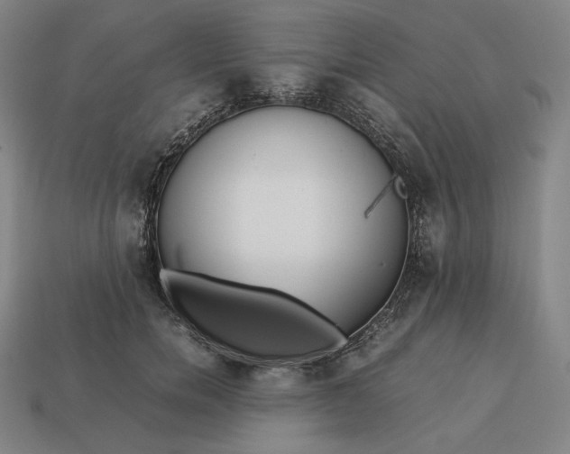 X0000113150750200909181750