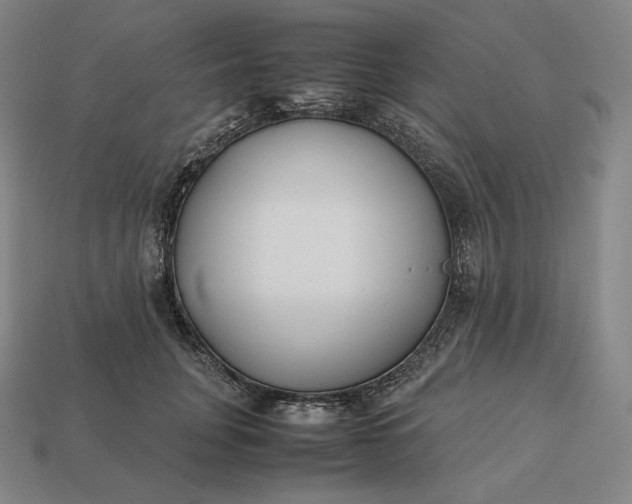 X0000113150751200909181750