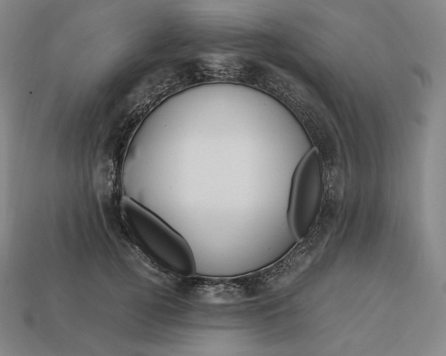 X0000113150752200909181750