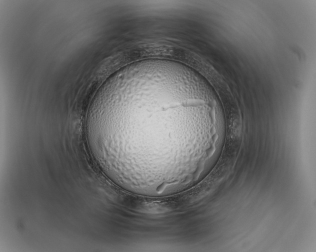 X0000113150753200909181750