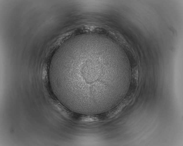 X0000113150754200909181750