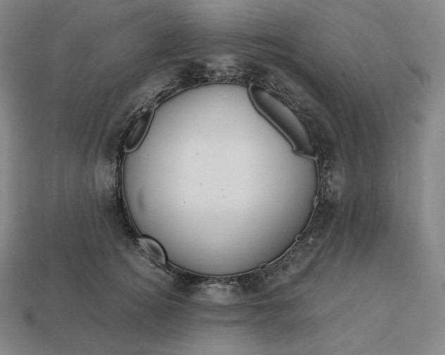 X0000113150756200909181750