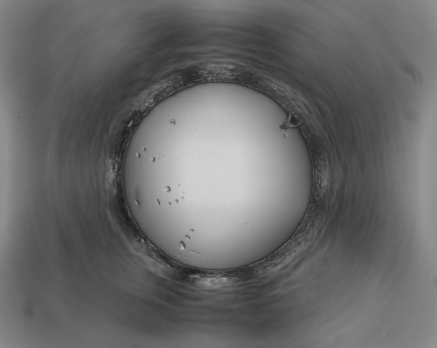 X0000113150759200909181750