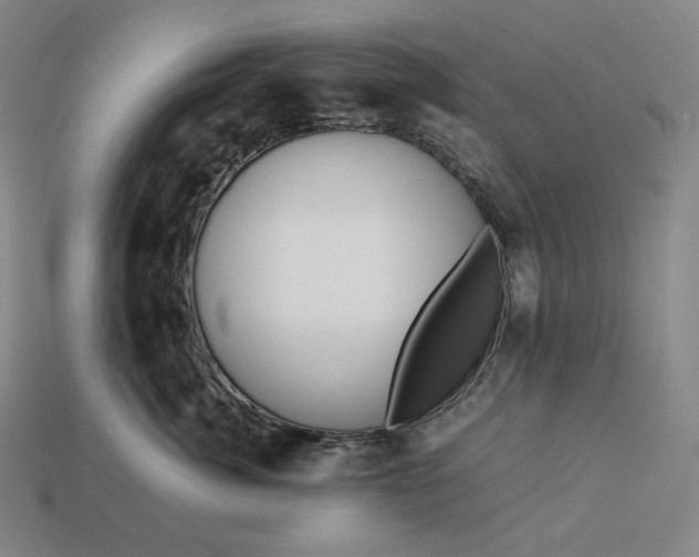 X0000113150764200909181750