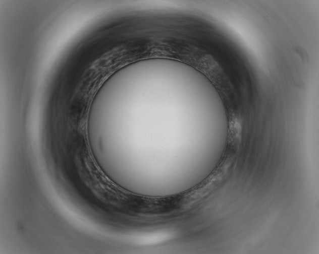 X0000113150765200909181750