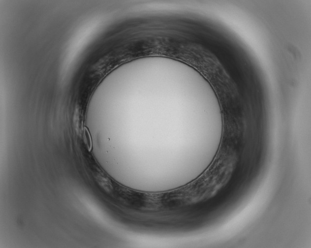 X0000113150766200909181750