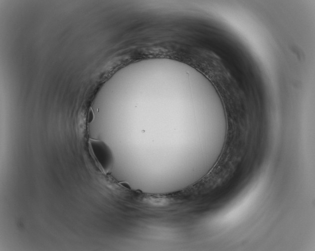 X0000113150767200909181750