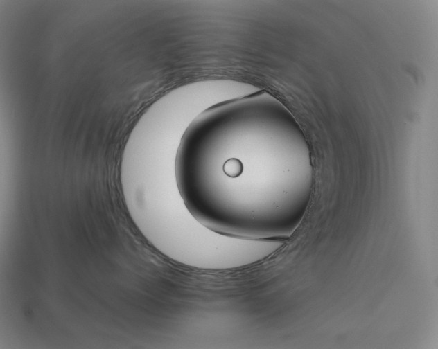 X0000113150768200909181750