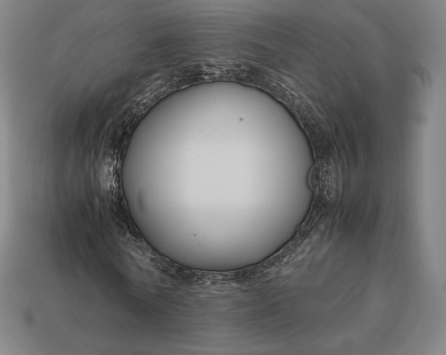 X0000113150770200909181749