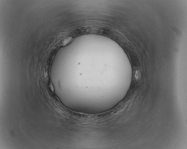 X0000113150771200909181749