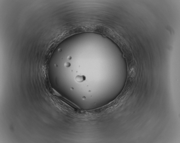 X0000113150772200909181749