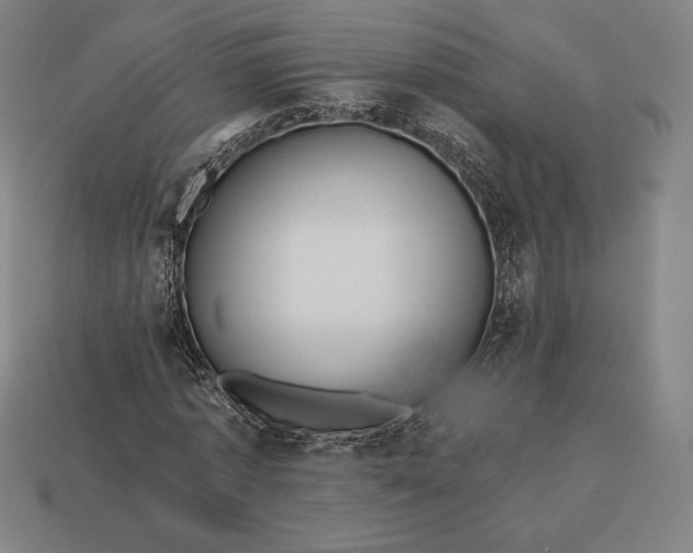 X0000113150773200909181749