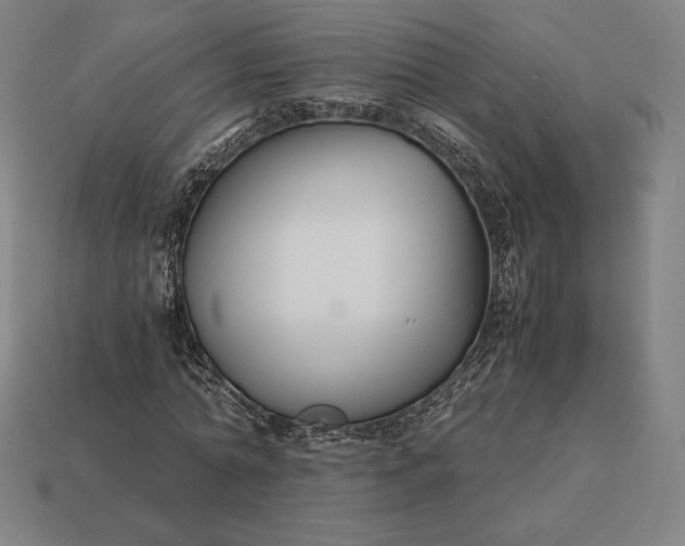 X0000113150774200909181749