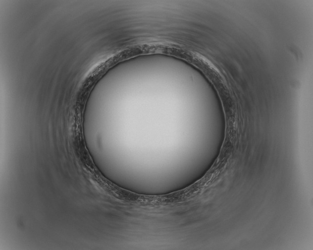 X0000113150775200909181749