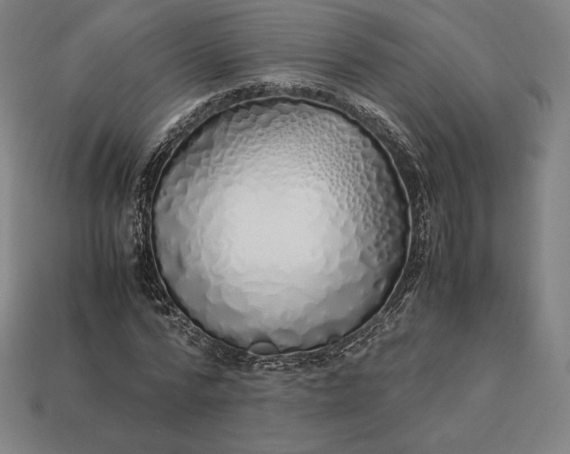 X0000113150776200909181749