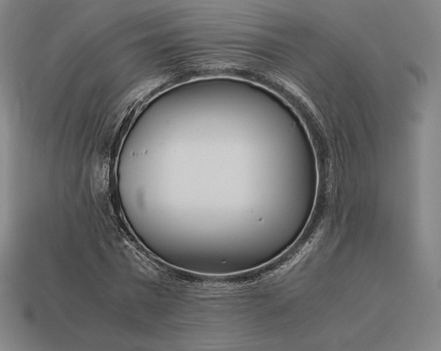 X0000113150777200909181749