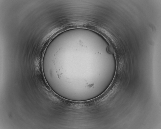 X0000113150778200909181749