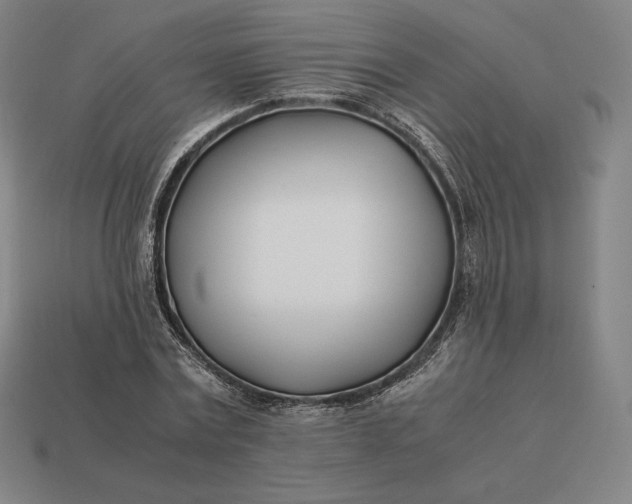 X0000113150779200909181749