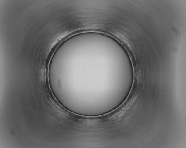 X0000113150781200909181749