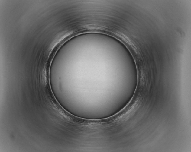 X0000113150782200909181749