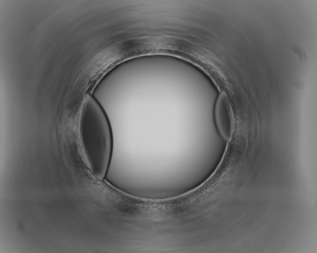 X0000113150785200909181749