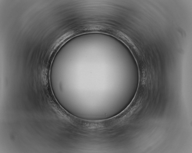 X0000113150786200909181749