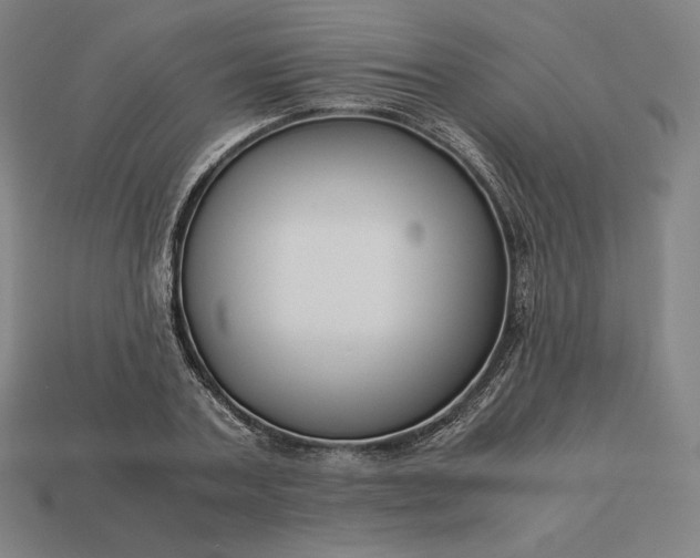 X0000113150787200909181749