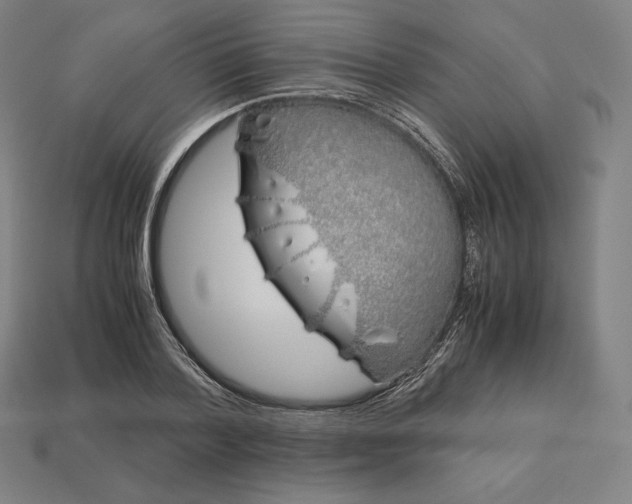 X0000113150788200909181749