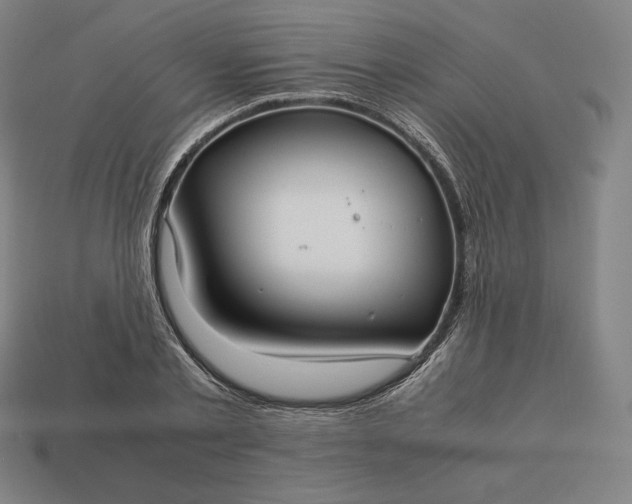 X0000113150789200909181749